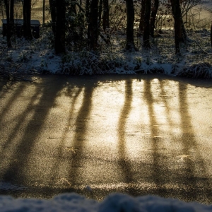 Redwell   17 1 2016   D3s (3 Of 68).jpg